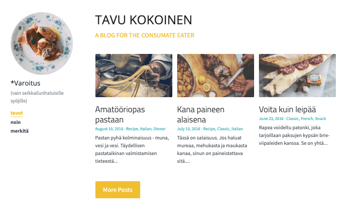 Pieniä Pätkiä Blogi Malli Strikinglystä