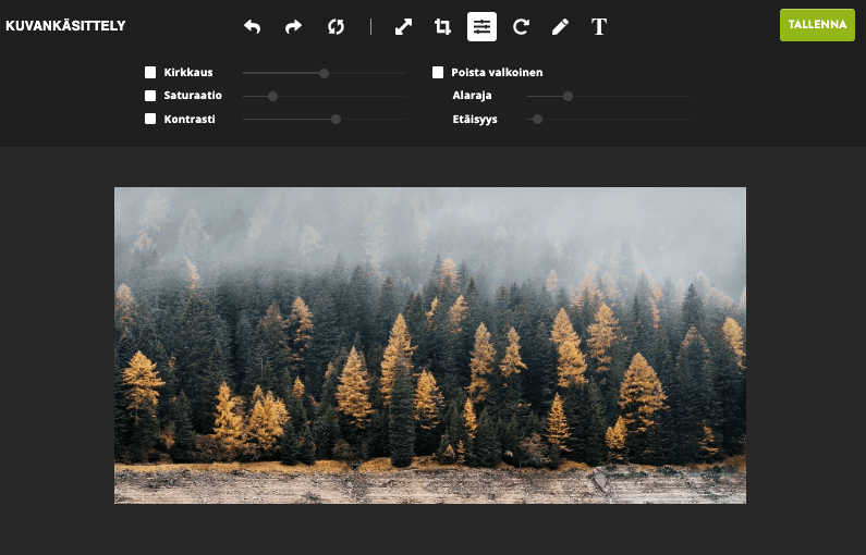 Strikinglyn kuvaeditorin hyödyntäminen