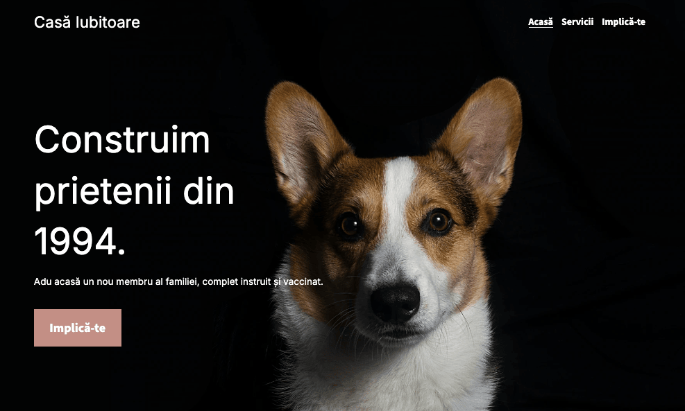 Crearea unui brand unic pentru afacerea ta cu animale de companie