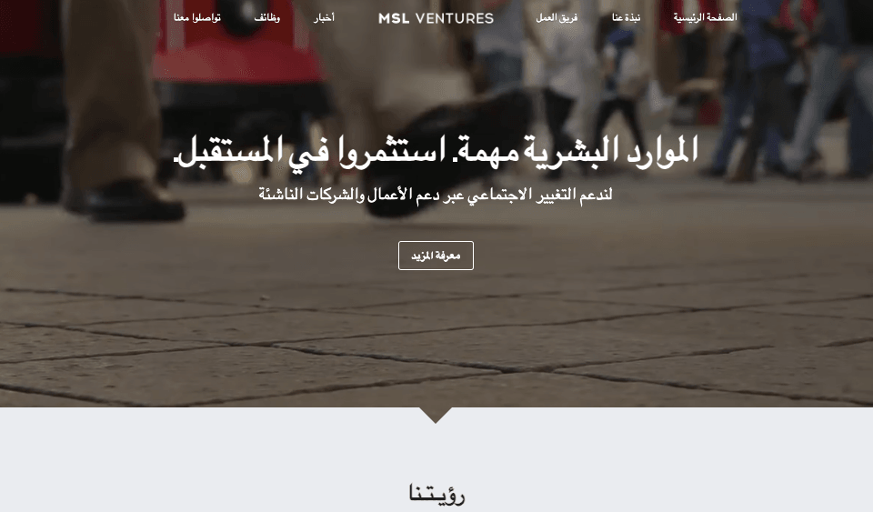 قالب MSL Ventures من Strikingly