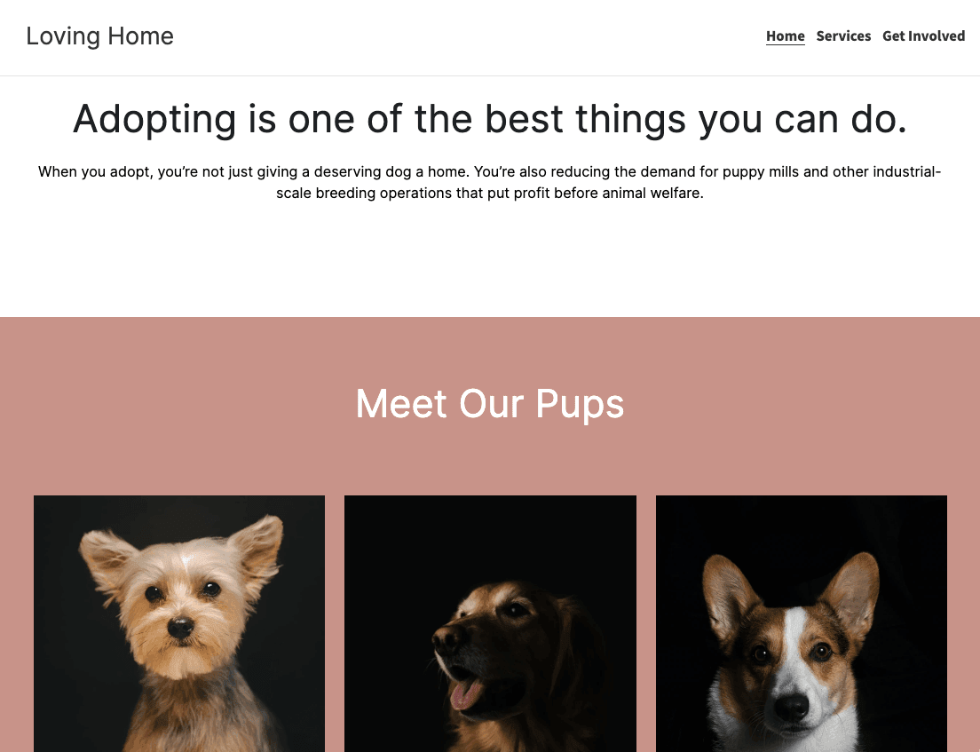 Szablon Projektu Witryny Nonprofit Loving Home