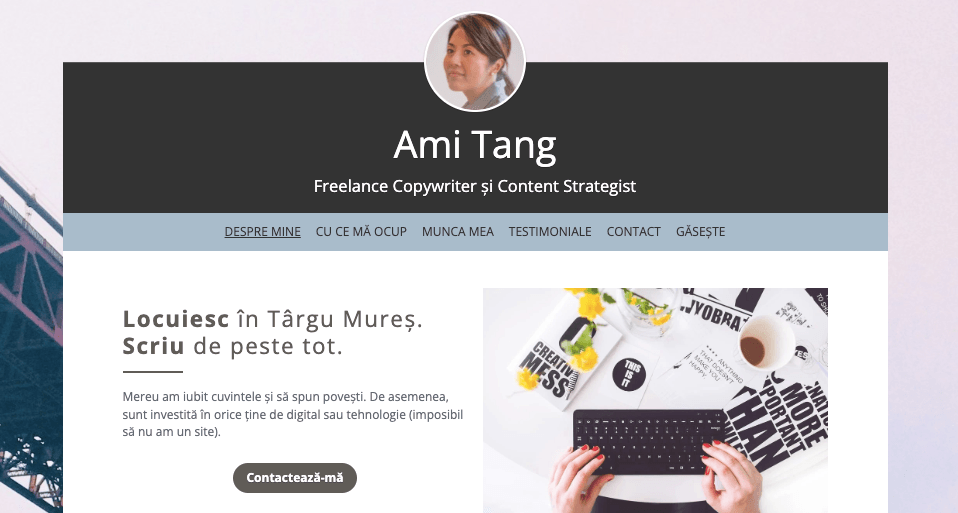 Șablon de profil de la Strikingly