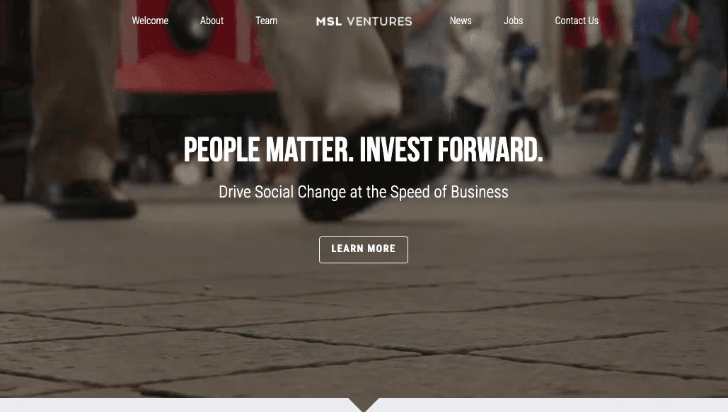 Szablon MSL Ventures od Strikingly