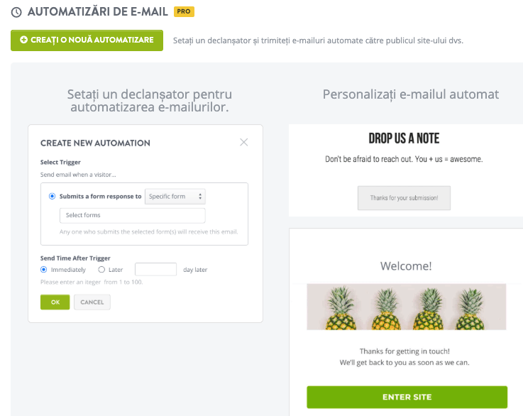 Funcția de e-mail automatizat de la Strikingly
