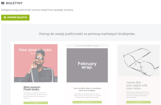 Funkcja newslettera Strikingly