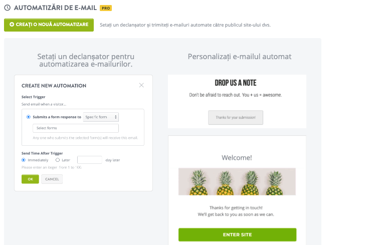 Automatizarea e-mailurilor funcție de la Strikingly