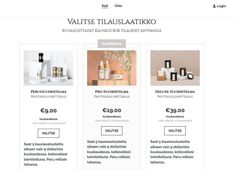 Markkinointitekniikoiden hyödyntäminen