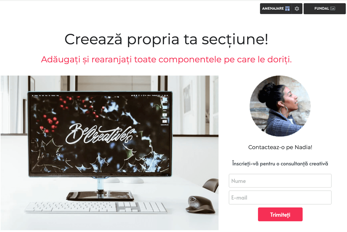 Secțiunea fă-ți propria de la Strikingly