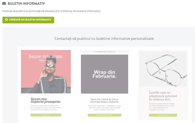 Caracteristica de newsletter Strikingly