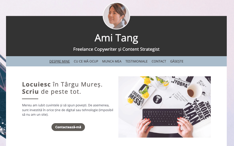 Șablon de profil de la Strikingly