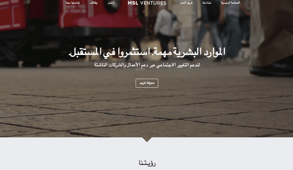 قالب MSL Ventures من Strikingly