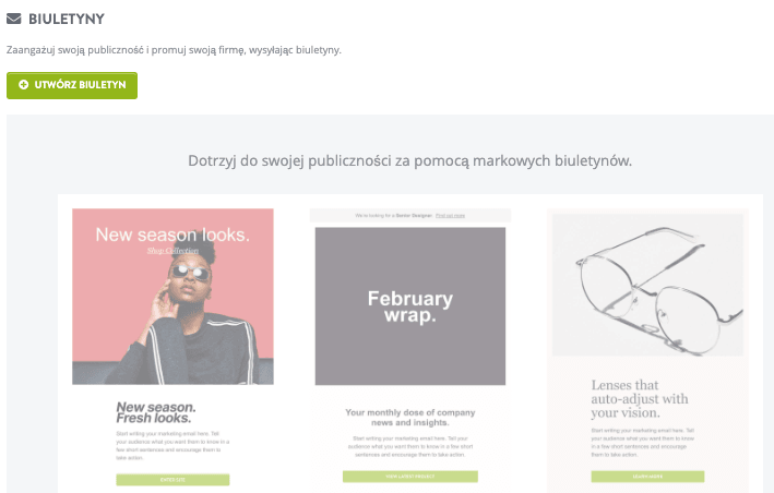 Funkcja biuletynu Strikingly