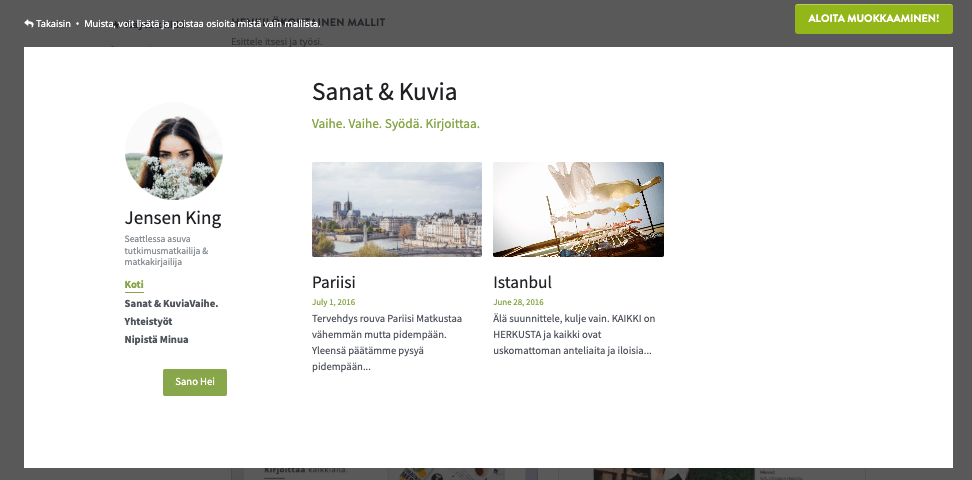Tilausliiketoiminta Strikingly - Markkinointi ja myynninedistäminen