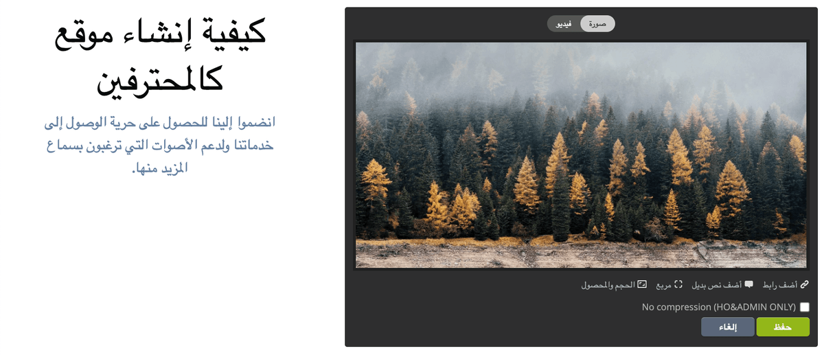 Strikinglyالنص البديلالميزة