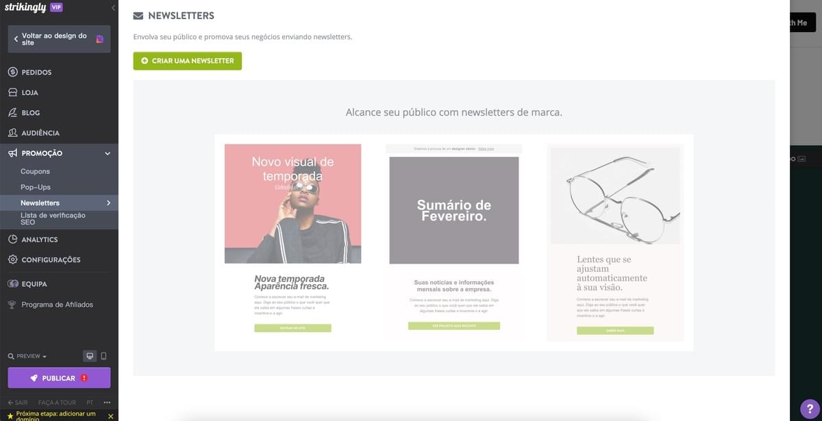 Recurso de Newsletter Strikingly