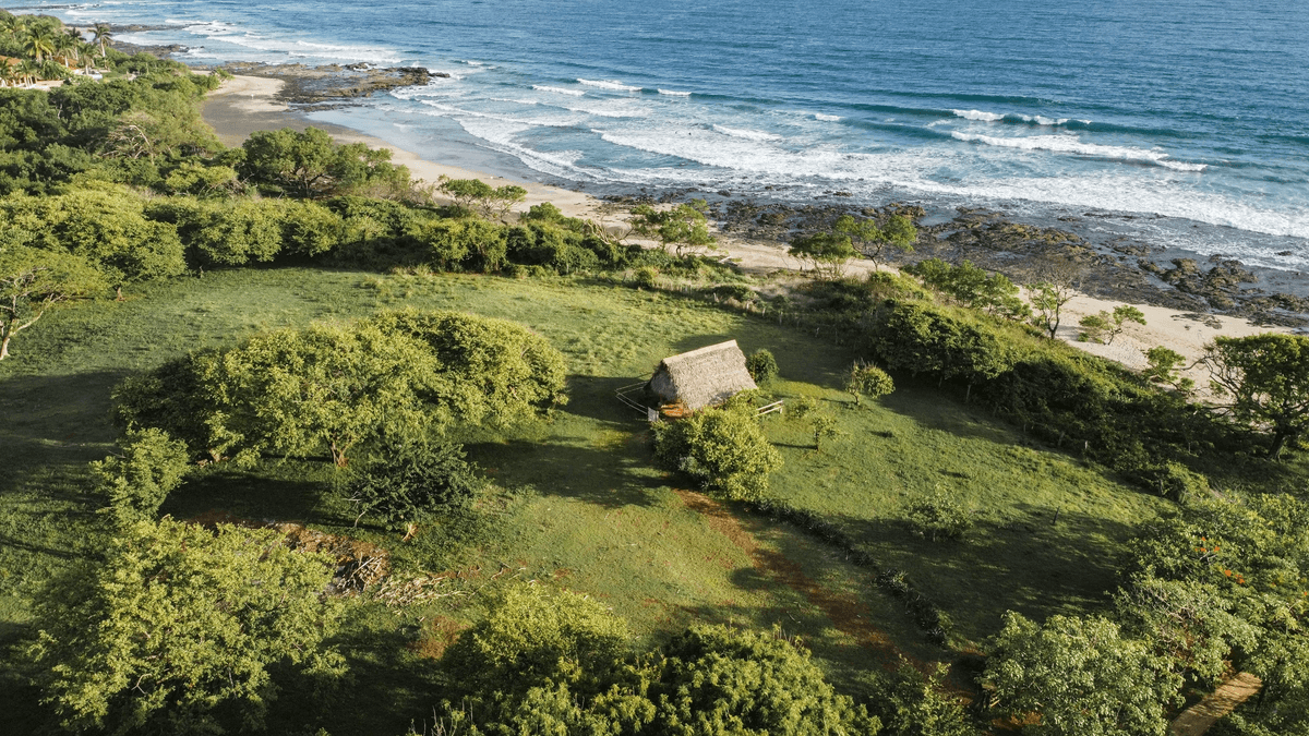 2025年に探求すべき素晴らしいエコツーリズムウェブサイト