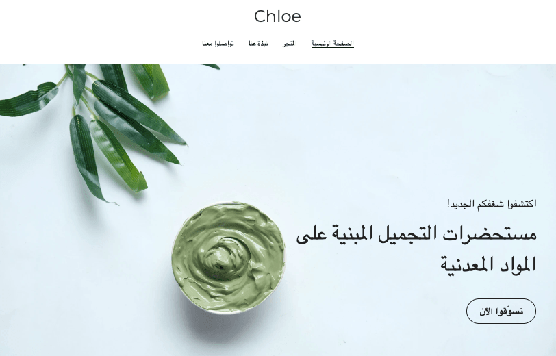 فهم صناعة المكياج