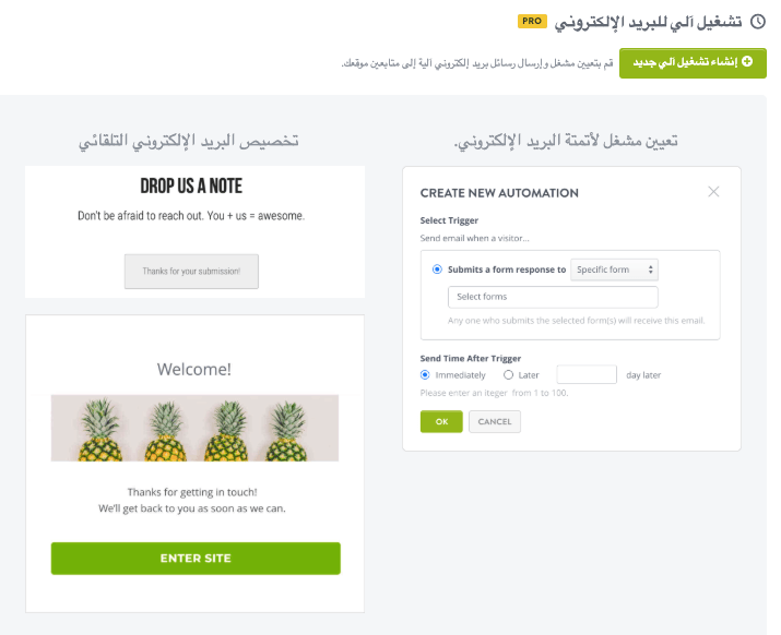 ميزة مراجعات المنتجات من Strikingly