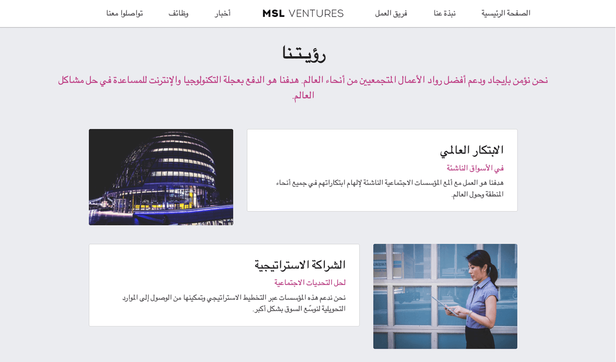 قالب MSL Ventures من Strikingly