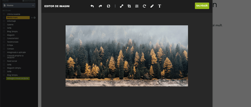 Cum adaugi grafică vectorială pe un site web Strikingly - Personalizare