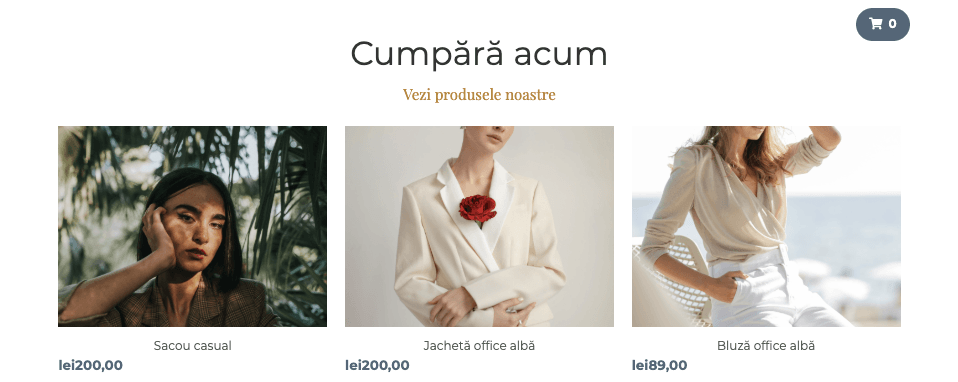 Șablon magazin perspective de la Strikingly