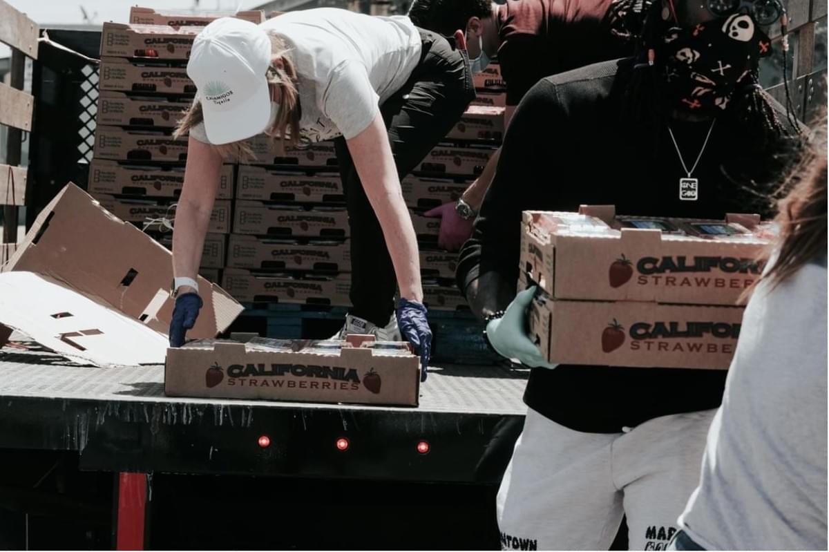 Fazendo a Bondade Clicar: Construindo um Site de Organização Sem Fins Lucrativos que Conquista Corações