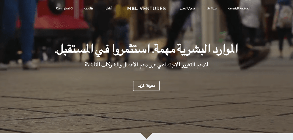 قالب MSL Ventures من Strikingly