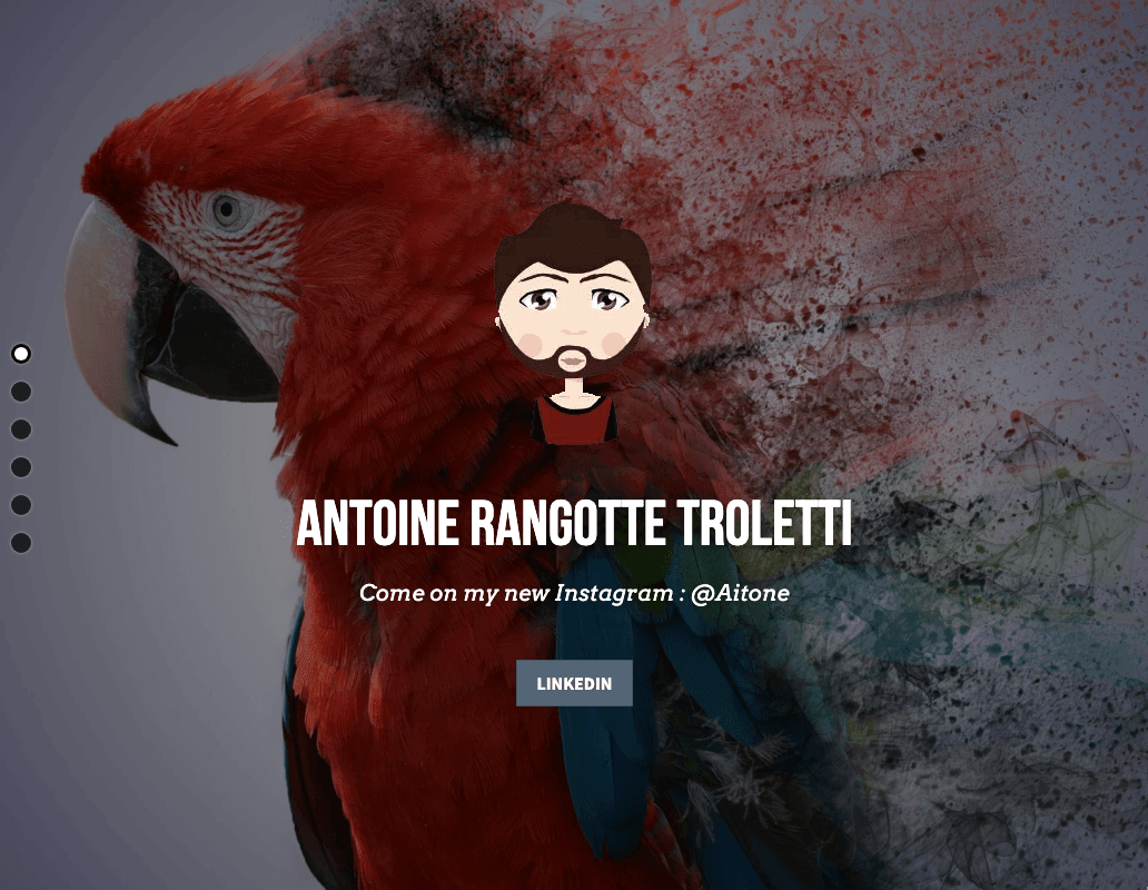 Portofoliu de ilustrații online cu Strikingly