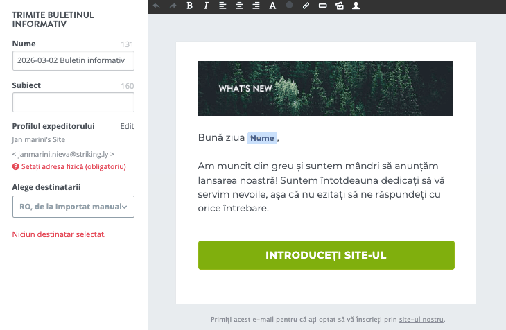 Șablon de buletin informativ Strikingly