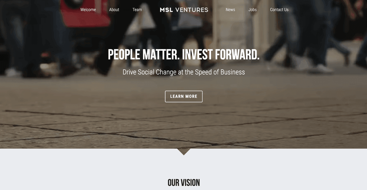 Szablon MSL Ventures od Strikingly