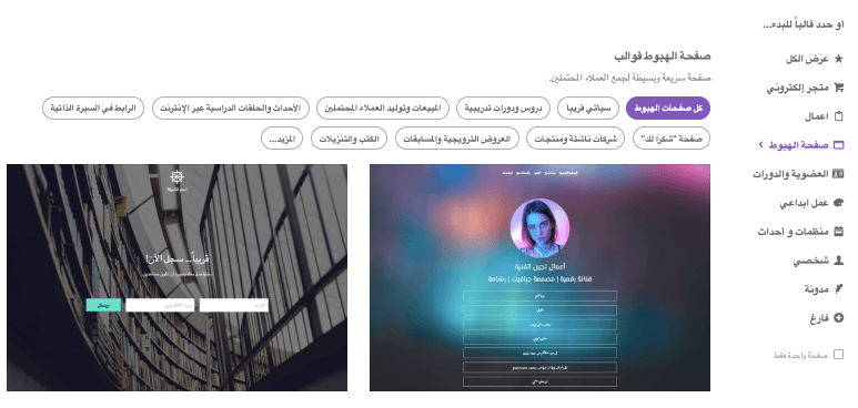 كيفية الاستفادة من شخصيات المشتري باستخدام صفحات الهبوط المخصصة للشخصية