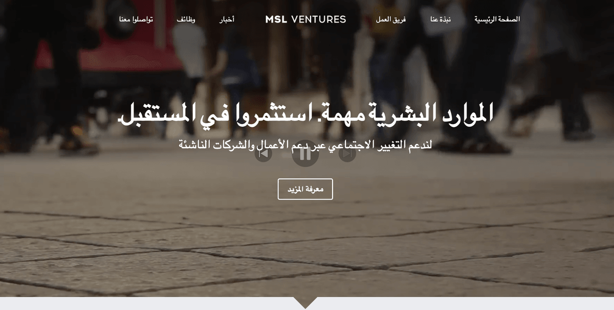 MSL Ventures قالب من Strikingly