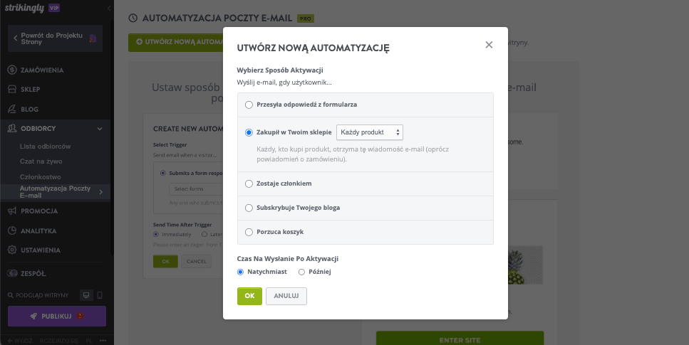 Marketing Bazy Danych w Strikingly - Personalizuj swój marketing