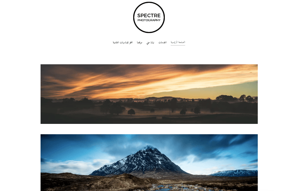 قالب رسمي من Strikingly