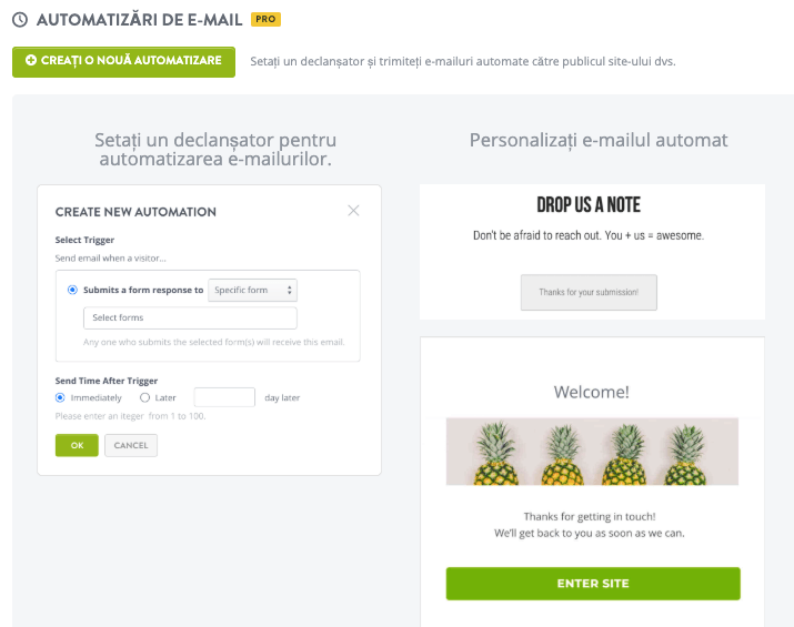 Strikingly Automatizarea Email