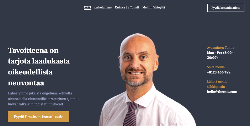 Oikeudellisen Konsultoinnin Malli