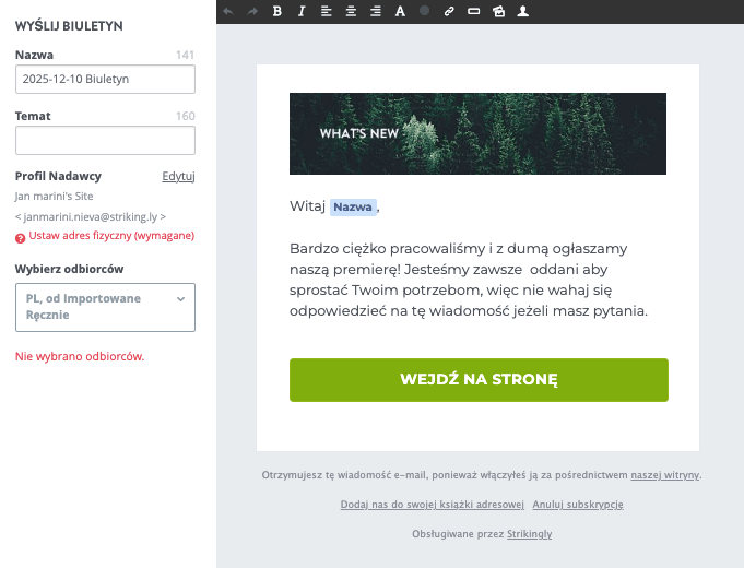 Szablon Newslettera Strikingly