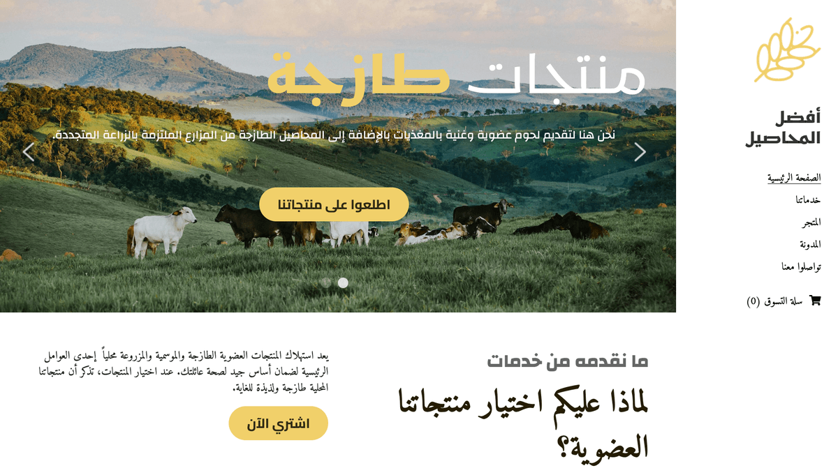 قالب جديد من Strikingly