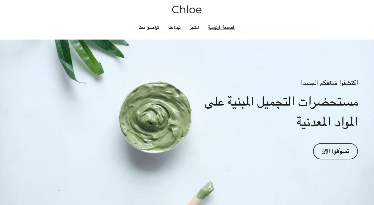 قالب Chloe من Strikingly