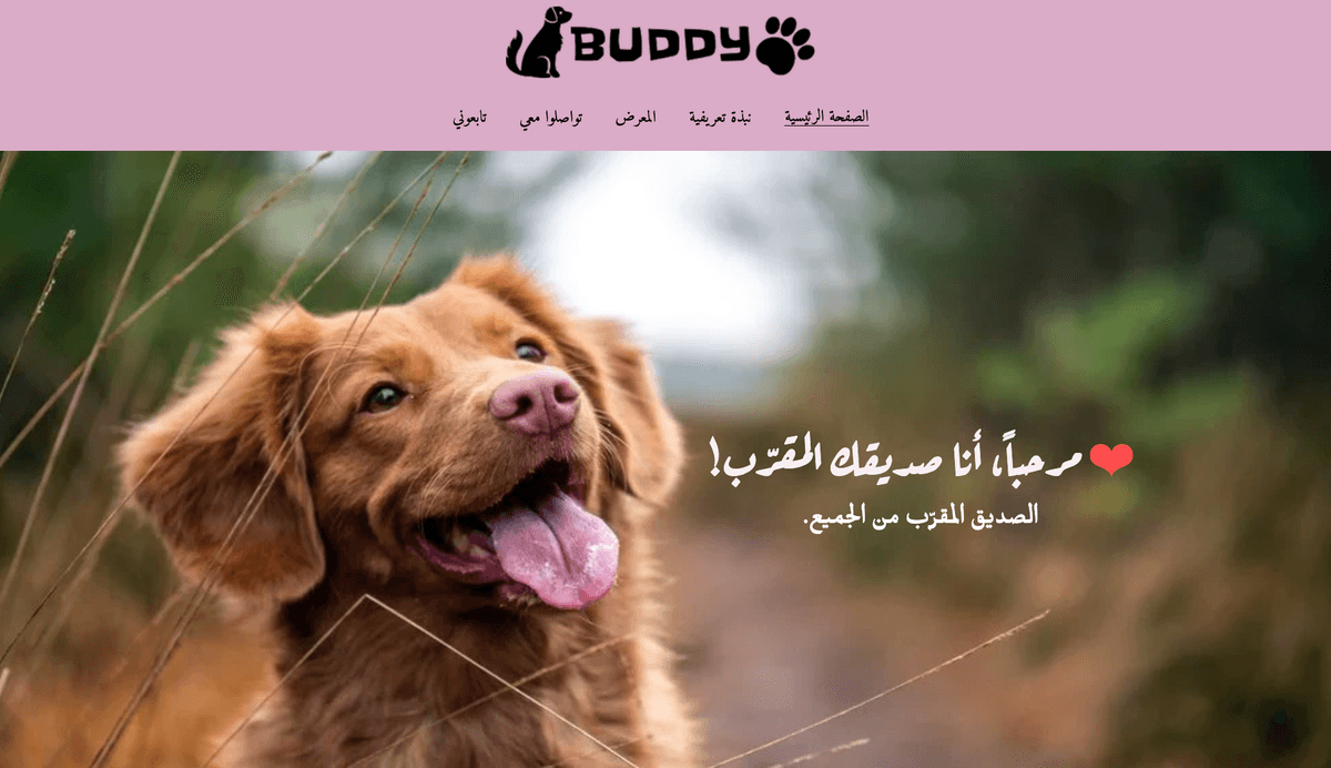 قالب Buddy من Strikingly