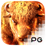 PG电子-美洲野牛-PG电子试玩-PG电子模拟器