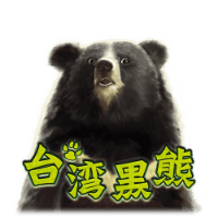 台湾黑熊