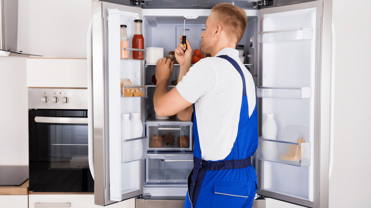 Signs Your Fridge Is Dying And In Dire Need Of Repairs