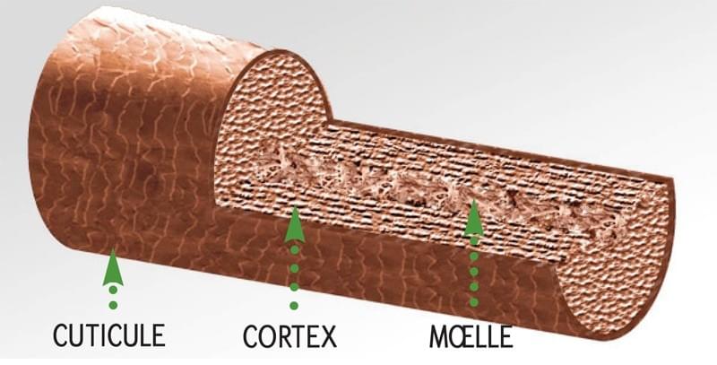 Qu'est-ce que la Kératine