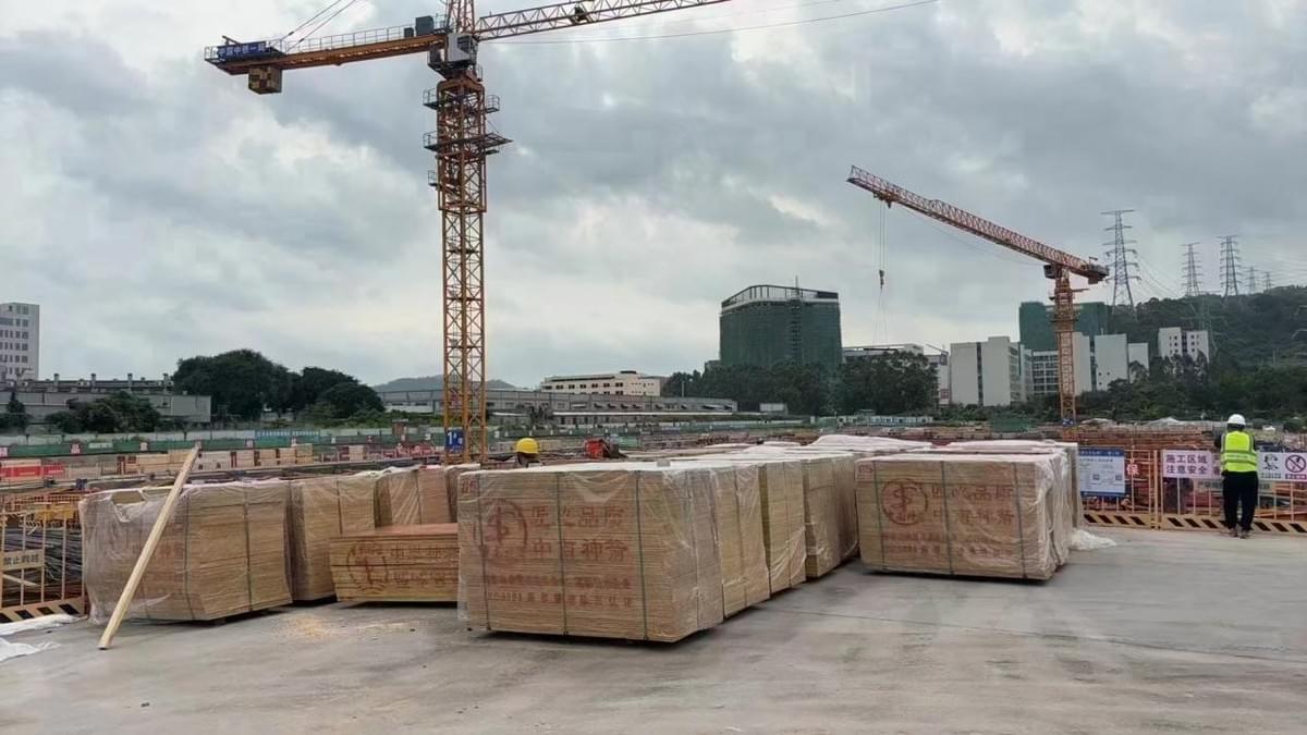  eucalyptus red plywood