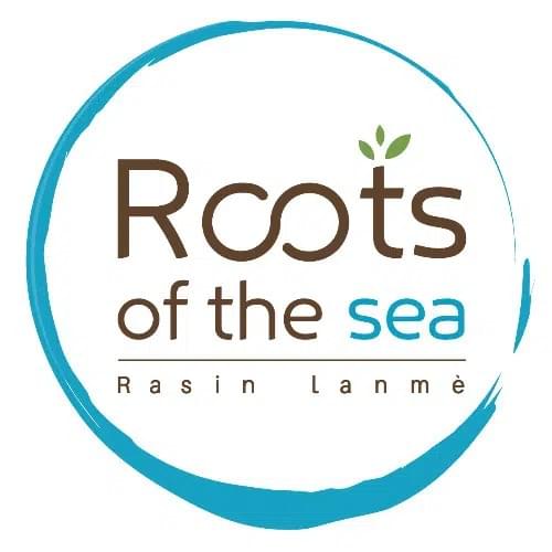 excursion-ecoresponsable-decouverte-biodiversite-martiniqueaassociation-roots-of-the-sea-rasin-lanme