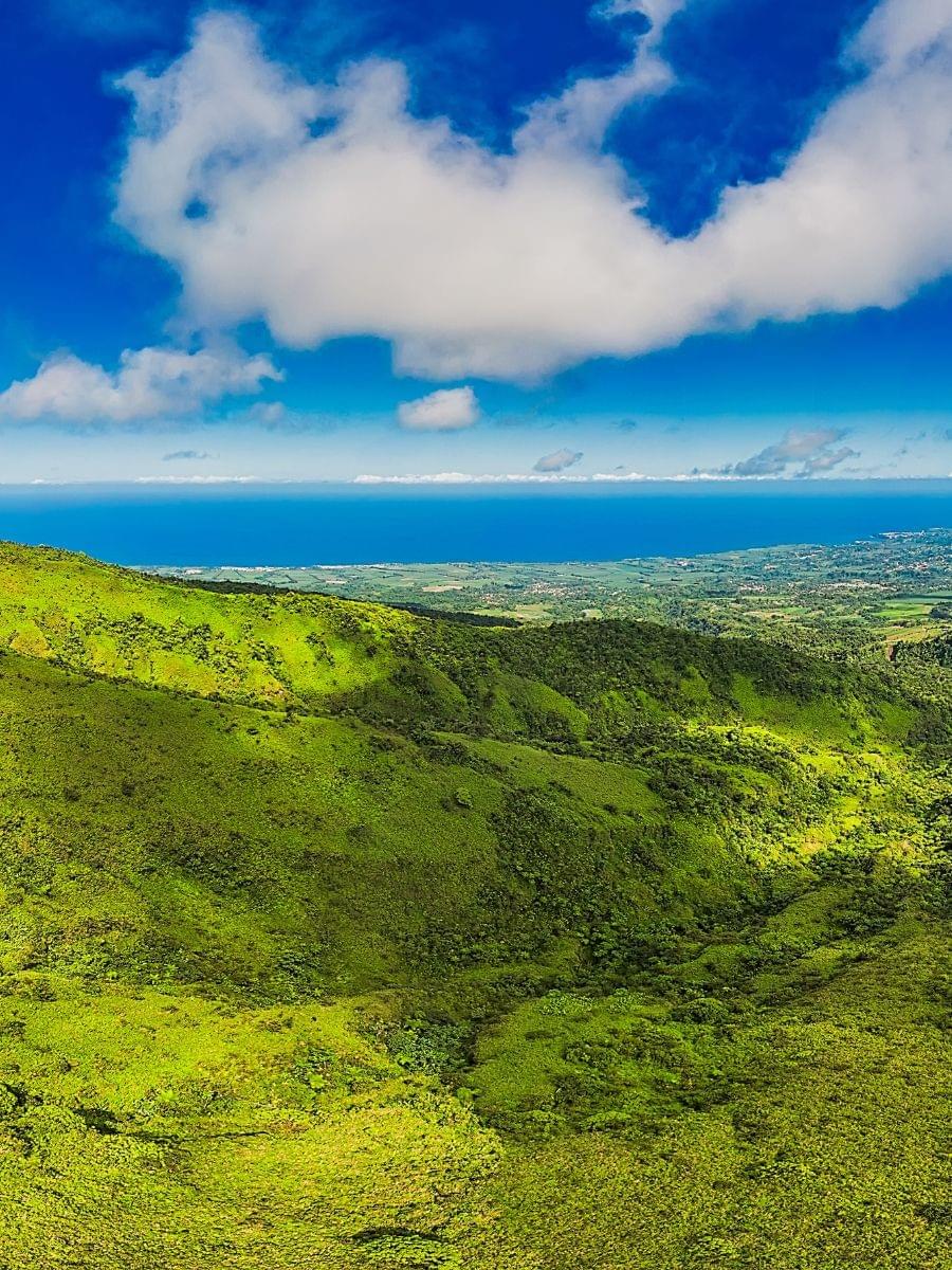 art-therapeute-amoureuse-de-la-nature