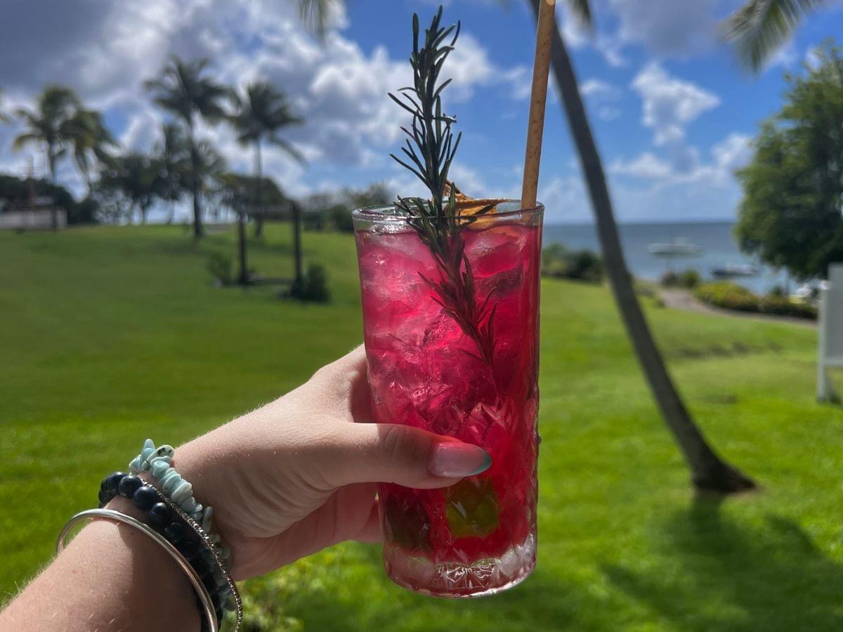 ou-profiter-de-bons-cocktails-en-martinique