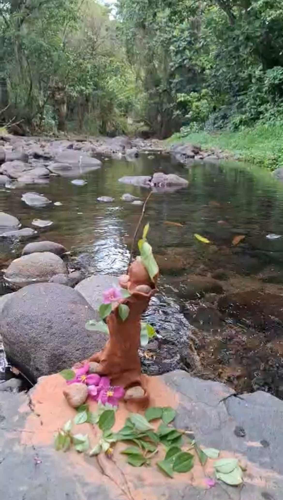 atelier-ancrage-corps-et-terre-martinique atelier-ancrage-corps-et-terre-martinique