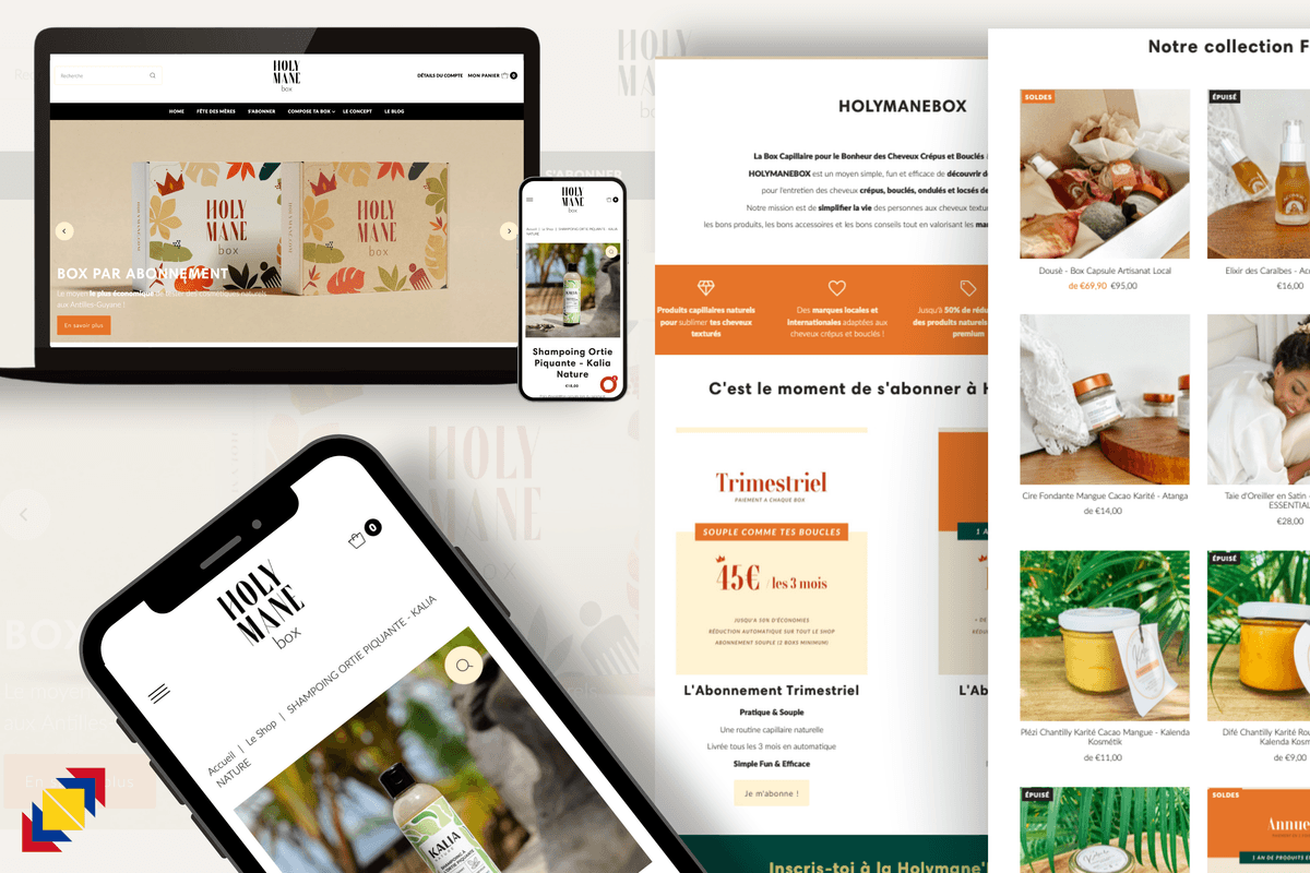 creation-site-internet-ecommerce-martinique-stmartin-antilles